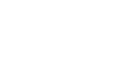 Institute-of-Hazard-Prevention 1